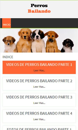 Perros bailando