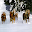 Running Horse live wallpaper by AppsEntertain Download on Windows
