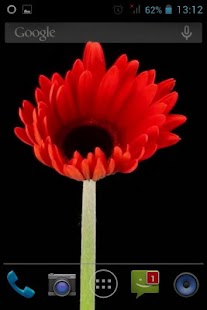 Download Flower Opening Live Wallpaper APK for Android