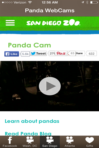 Panda WebCams