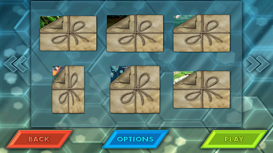 Download HexLogic - Koi Pond APK