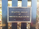 Bruce E. Blackburn