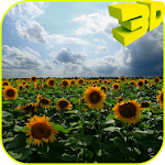 Sunflowers 3D Live Wallpaper Apk