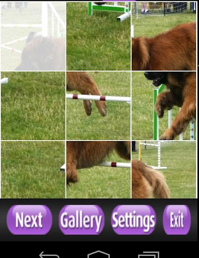 【免費解謎App】Leonberger Puzzle Games-APP點子