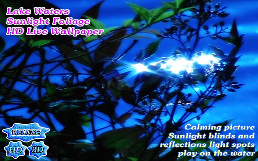 【免費個人化App】Lake Waters Sunlight Foliage-APP點子