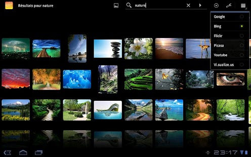 DroidIris : Image Search