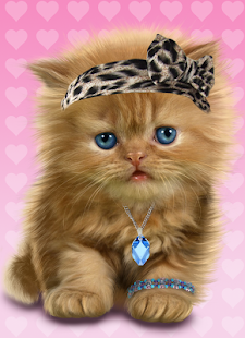 Baby katze, süß live wallpaper – Android-Apps auf Google Play