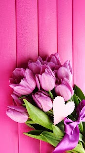 Růžový Tulipány Živá Tapeta - náhled
