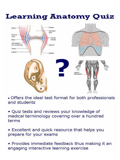 Learning Anatomy Quiz