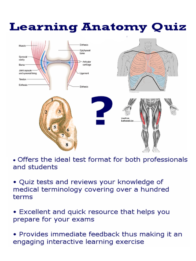 Learning Anatomy Quiz - Android Apps on Google Play