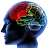 Brain Age Test 2 icon