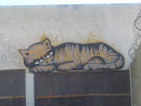 Graffiti Sleeping Cat