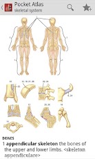 Pocket Atlas of Anatomy TR