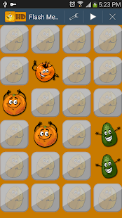 Flash Memory Screenshots 1