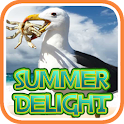 Summer Delight - Hidden Object