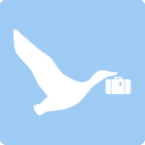 Safe Bag 1.1.3