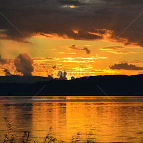 Golden sunset by Blagoja Pulceski - Landscapes Sunsets & Sunrises