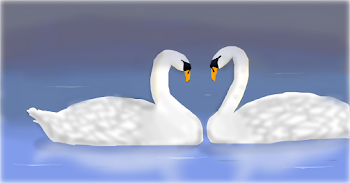 Swans