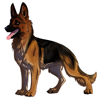 WS: German Shepherd Dog
