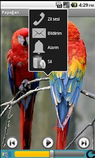 How to get Bird Sounds lastet apk for android