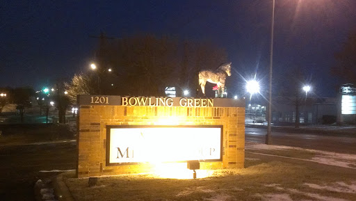 Bowling Green Horse