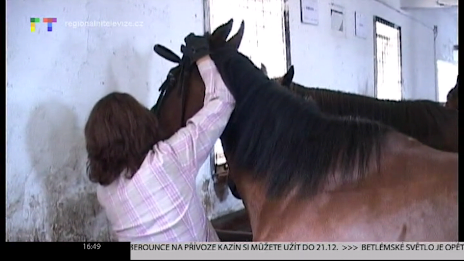 SledovaniTV old poster 3