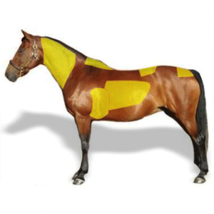 HorseBCS.apk