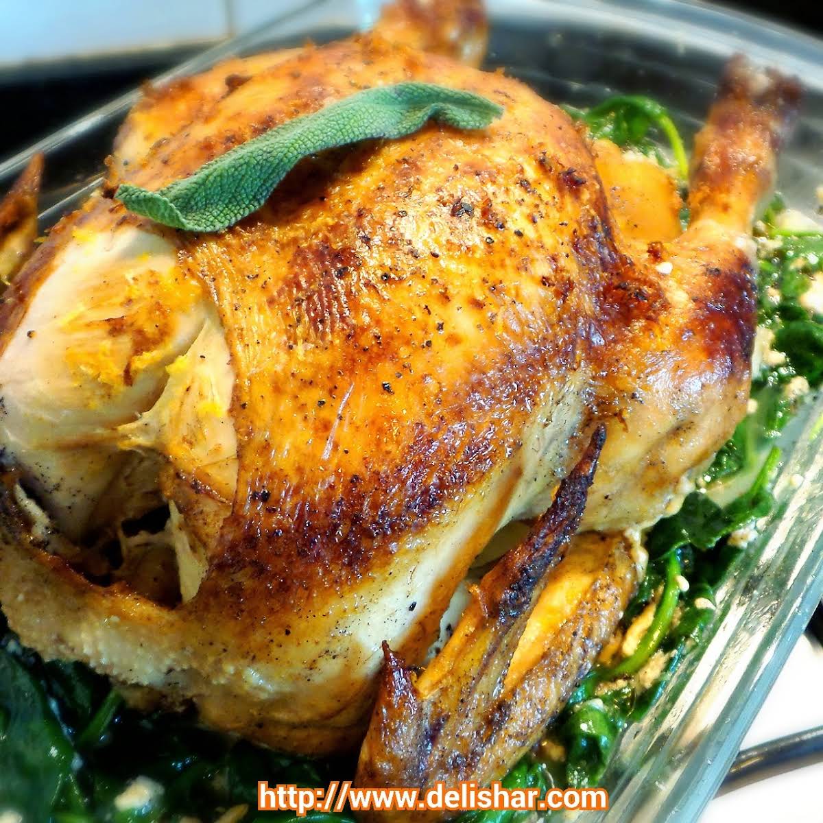 10 Best Jamie Oliver Chicken Recipes