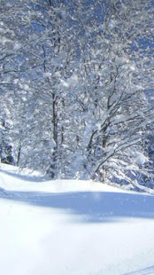 Wintery Day HD Live Wallpaper Screenshots 1