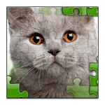 Cover Image of Download Cats Jigsaw Puzzles 1.0 APK