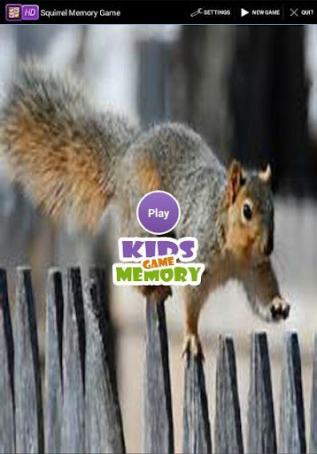 Squirrel Memory Game