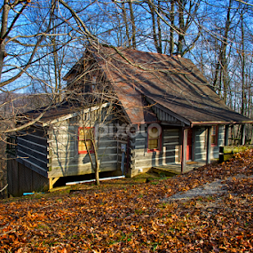 Brown County Cabin by Hugh Hazelrigg - Buildings & Architecture Homes