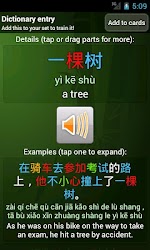 Chinese Dictionary+Flashcards