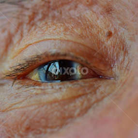 the eye by 思远 郭 - People Body Parts