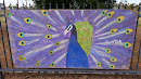 Peacock Wall Mural