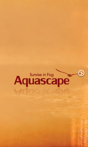 Aquascape - Sunrise in Fog