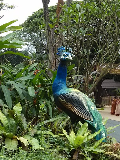 Gigantic Peacock Statue 