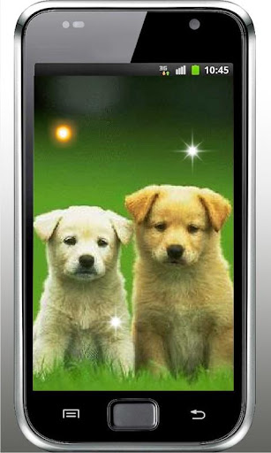 Puppy Joke Top Live Wallpaper