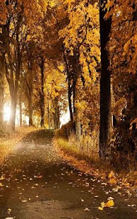 How to install Autumn Live Wallpaper patch 1.0.0 apk for bluestacks
