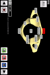 和鍼灸院式骨学R 2D poster 6