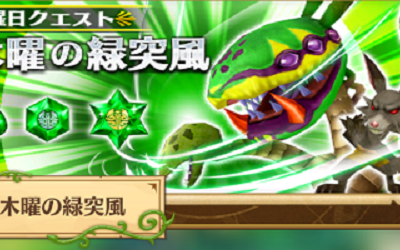 【ベストコレクション】 白猫 緑のハイルーン 協力 283470