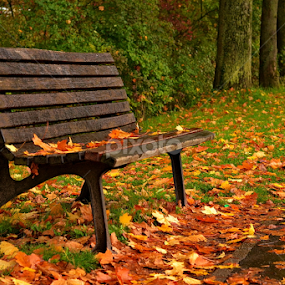 time out by Abhinav Ganorkar - City,  Street & Park City Parks