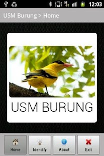 Lastest burung ID APK for PC