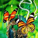 3D Butterfly 66 logo