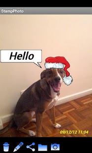 Free Download StampPhoto APK for PC