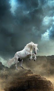 Free Download Horse Wallpapers APK for Android