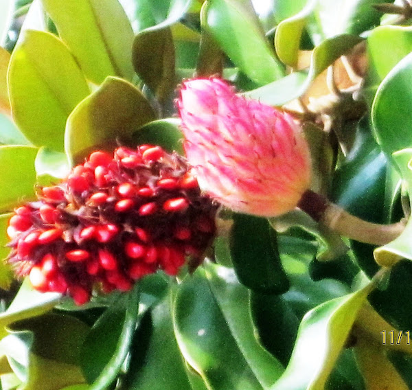 My Image 14
