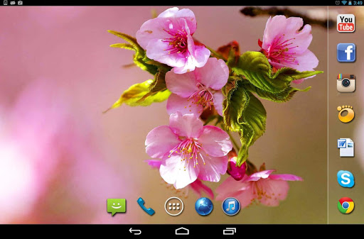 【免費個人化App】Sakura Dreams live wallpaper-APP點子