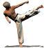 Taekwondo Forms1.7.4g (Paid)