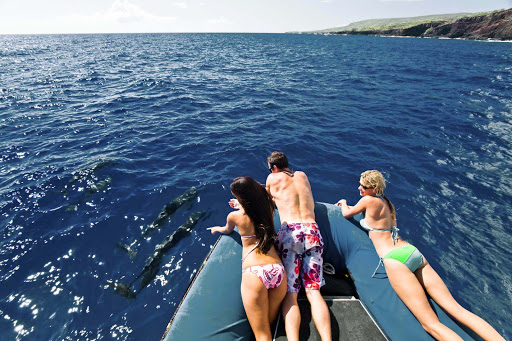 watching-spinner-dolphins - Friends watch friendly spinner dolphins off Hawaii. 